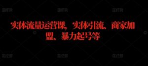 实体流量运营课，实体引流、商家加盟、暴力起号等-网创资源站