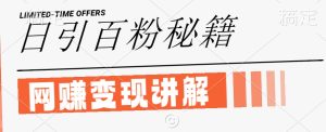最新闲鱼引流创业粉，日引100+，网创项目虚变现讲解【揭秘】-网创资源站