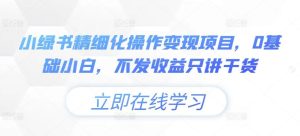 小绿书精细化操作变现项目，0基础小白，不发收益只讲干货-网创资源站