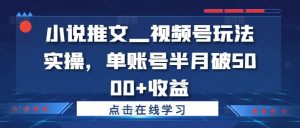 小说推文—视频号玩法实操，单账号半月破5000+收益-网创资源站