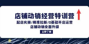 店铺动销经营特训营：起店实操/精准拉新/0基础开店运营/店铺动销全面升级-网创资源站