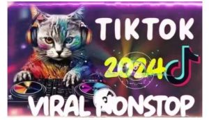 Tiktok东南亚小店运营，TK跨境小店教程让学员能快速掌握实用的运营技巧-网创资源站