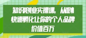 知识IP创业实操课，从0到1快速孵化让你的个人品牌价值百万-网创资源站
