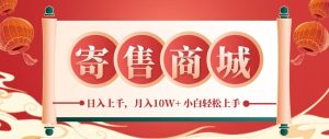 一部手机，一天几分钟，小白轻松日入上千，月入10万+，纯信息项目-网创资源站