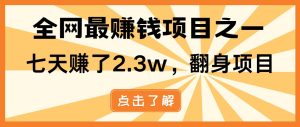 （13674期）小白必学项目，纯手机简单操作收益非常高!年前翻身！-网创资源站