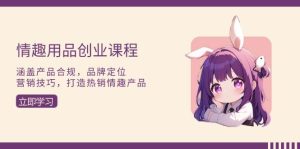 （13682期）情趣用品创业课程：涵盖产品合规，品牌定位，营销技巧，打造热销情趣产品-网创资源站