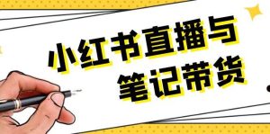 小红书直播与笔记带货：选品、上架、笔记写作、视频剪辑及直播话术等-网创资源站