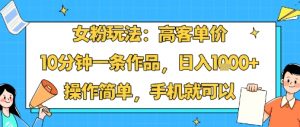 女粉玩法：高客单价，10分钟一条作品，日入1k+操作简单，手机就可以-网创资源站