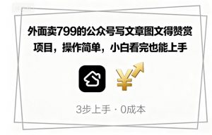 外面卖799的公众号写文章图文得赞赏项目，操作简单，小白看完也能上手-网创资源站