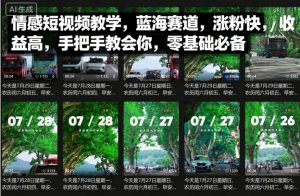 情感短视频教学，蓝海赛道，涨粉快，收益高，手把手教会你，零基础必备-网创资源站