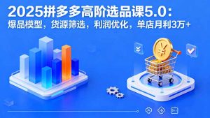 2025拼多多高阶选品课5.0：爆品模型，货源筛选，利润优化，单店月利3万+-网创资源站