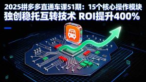 2025拼多多直通车课51期：15个核心操作模块 独创稳托互转技术 ROI提升400%-网创资源站