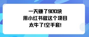 一天挣了9张用小红书做这个项目太牛了，空手套-网创资源站