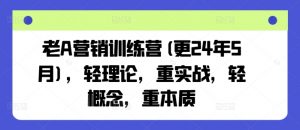 老A营销训练营(更25年10月)，轻理论，重实战，轻概念，重本质-网创资源站