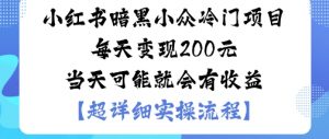 小红书暗黑小众冷门项目每天变现2张当天可能就会有收益-网创资源站