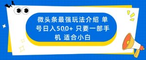 微头条最强玩法介绍一个号日入5张+只要一部手机适合小白-网创资源站