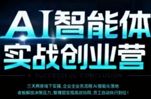 AI智能体实体战创业营(深圳9月23-25日)，多维度助力老板、管理层、员工提升效能-网创资源站