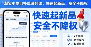 淘宝小类目补单系列课，快速起新品，安全不降权-网创资源站