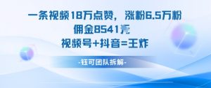 一条视频18W点赞，涨粉6.5W粉佣金8541米，视频号+抖音=王炸-网创资源站