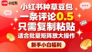 小红书种草豆包，一条评论0.5，只需复制粘贴，适合批量矩阵放大操作，新手小白福利-网创资源站