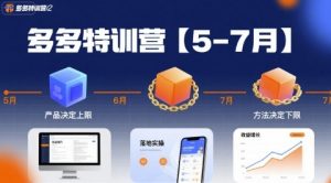 多多特训营，产品决定上限，方法决定下限，各种玩法技巧落地实操(更新)-网创资源站