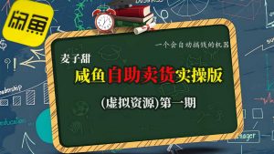 麦子甜咸鱼自助卖货实操版(虚拟资源)一个会自动搞钱的机器-网创资源站