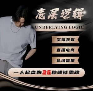 一个人起盘的底层逻辑，私域流量-直播电商-实体获客，一人起盘的36种賺钱思路-网创资源站
