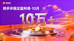 拼多多稳定盈利课-10月，强付费SOP+微付费高投产+活动矩阵，单店月入10万+-网创资源站