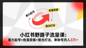 小红书野路子流量课：暴力起号+批量获客+聚光打法，单账号月入3万+-网创资源站