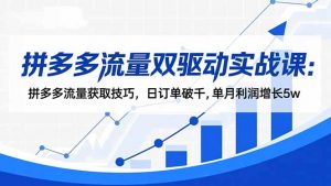 拼多多流量双驱动实战课：拼多多流量获取技巧，日订单破千,单月利润增长5w-网创资源站