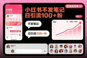 引流系列课14：小红书不发笔记日引流100+粉-网创资源站