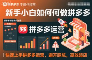 新手小白如何做拼多多，快速上手拼多多运营，避开踩坑，高效起店-网创资源站