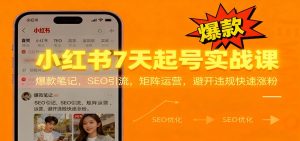 小红书7天起号实战课：爆款笔记，SEO引流，矩阵运营，避开违规快速涨粉-网创资源站