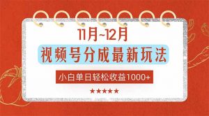 11月~12月视频号分成最新玩法，小白单日轻松收益1000+-网创资源站