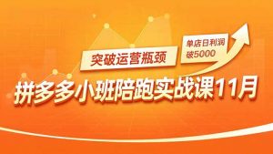 拼多多小班陪跑实战课11月，强付费矩阵、原价活动、暗券引流，突破运营瓶颈，单店日利润破5000-网创资源站