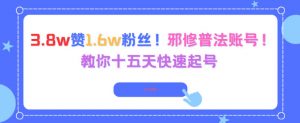 3.8w赞1.6w粉丝，邪修普法账号，教你十五天快速起号-网创资源站