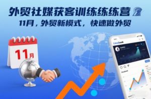 外贸社媒获客训练营11月，外贸新模式，快速做外贸-网创资源站