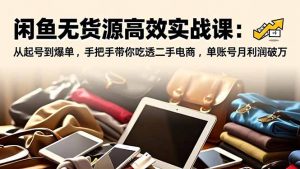 闲鱼无货源高效实战课：从起号到爆单，手把手带你吃透二手电商，单账号月利润破万-网创资源站