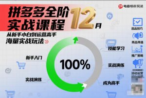 拼多多全阶实战课程12月，从新手小白到运营高手，海量实战玩法-网创资源站