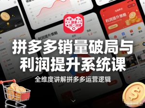 拼多多销量破局与利润提升系统课，全维度讲解拼多多运营逻辑-网创资源站