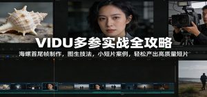 VIDU多参实战全攻略：海螺首尾帧制作，图生技法，小短片案例，轻松产出高质量短片-网创资源站