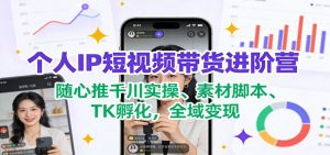 个人IP短视频带货进阶营：随心推千川实操、素材脚本、TK孵化，全域变现-网创资源站