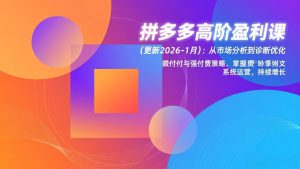 拼多多高阶盈利课(更新2026-1月-网创资源站