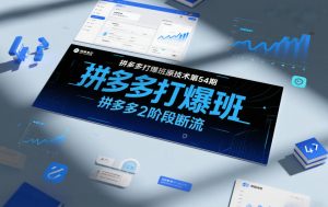 拼多多打爆班原创技术第54期，拼多多2阶段断流-网创资源站