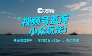 视频号蓝海小众玩法！外面收费399，零门槛日入3张+，老少皆宜-网创资源站