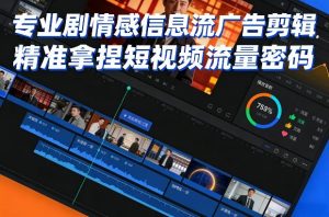 专业剧情感信息流广告剪辑，精准拿捏短视频流量密码-网创资源站