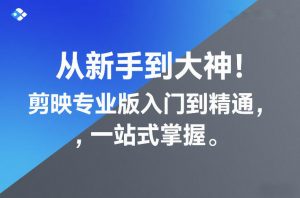从新手到大神！剪映专业版入门到精通，一站式掌握-网创资源站