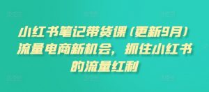 小红书笔记带货课，流量电商新机会，抓住小红书的流量红利(更新26年2月)-网创资源站