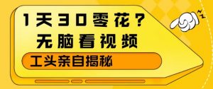 1天30零花？无脑看视频，大佬亲自揭秘-网创资源站