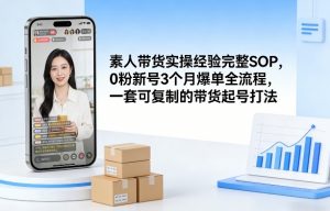 素人短视频带货实操经验完整SOP，0粉新号3个月爆单全流程，一套可复制的带货起号打法-网创资源站